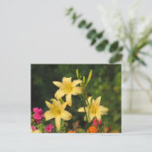 Late Summer Daylilies Briefkaart (Staand voorkant)
