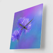 Late Summer Flower Blue Paarse Cornflower Vierkante Klok (Hoek)