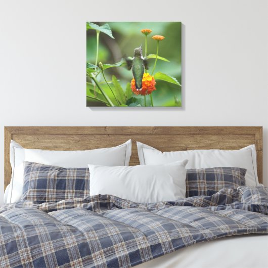 Late Summer Hummer Canvas Afdruk (Insitu (Slaapkamer))