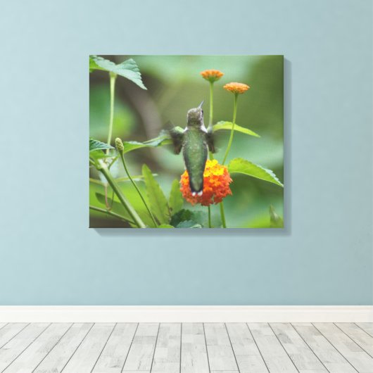 Late Summer Hummer Canvas Afdruk (Insitu (Houten vloer))