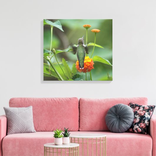 Late Summer Hummer Canvas Afdruk (Insitu (Woonkamer))