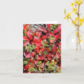 Late Summer in Alaska - 4" x 5.6" Notecard Kaart (Gele Bloem)