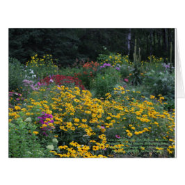 Late Summer Tall Mullein Ridgeline