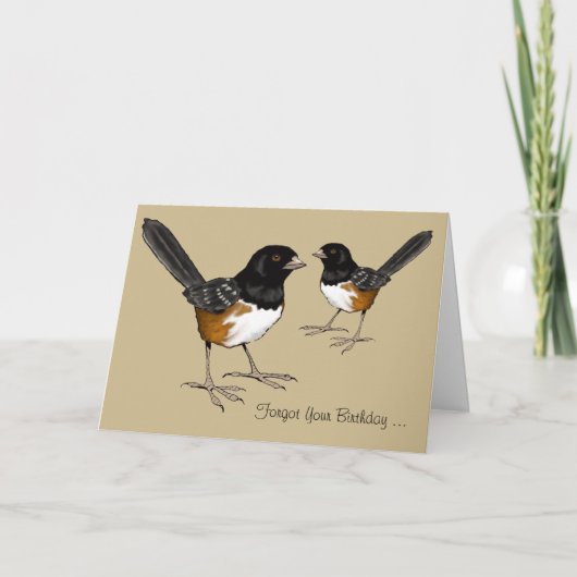 Late Verjaardag, de Hersenen van de Vogel, het Kaart (Voorkant)