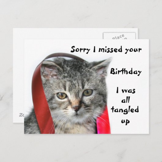 Late verjaardag kitten briefkaart (Voorkant / Achterkant)