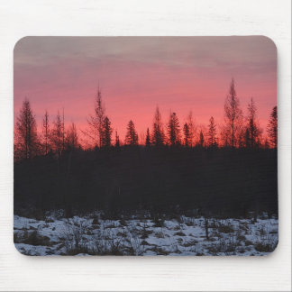 Late winter zonsopgang muismat