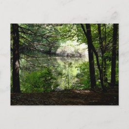 Late zomer bij Walden Pond Briefkaart