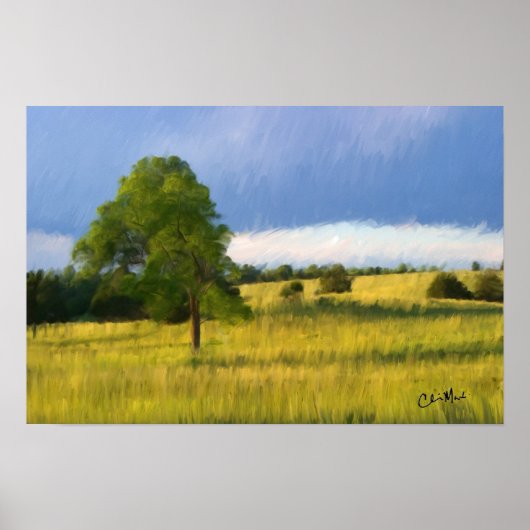 Late zomeravond - Schilderen Poster (Voorkant)