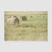 Late zomerhooi opgevoerd in een boerderij veld tissuepapier (Voorkant)