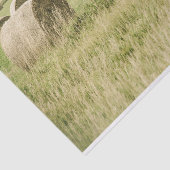 Late zomerhooi opgevoerd in een boerderij veld tissuepapier (Detail)