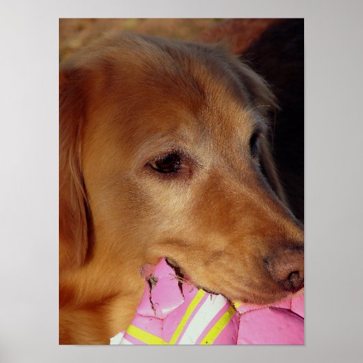 Laten we afspelen poster (Voorkant)