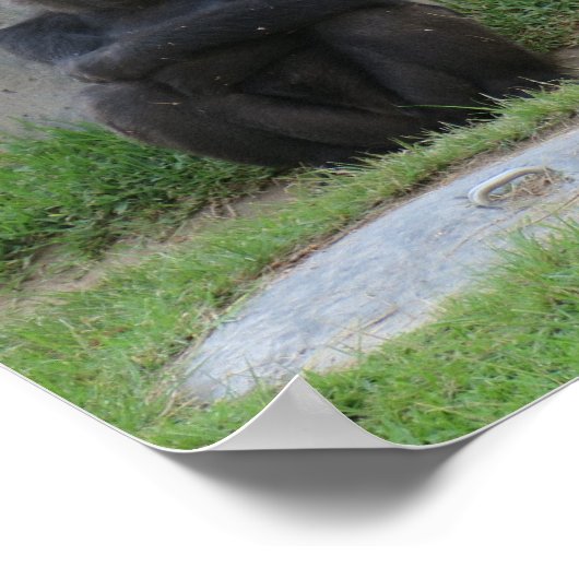 Laten we afwachten poster (Hoek)