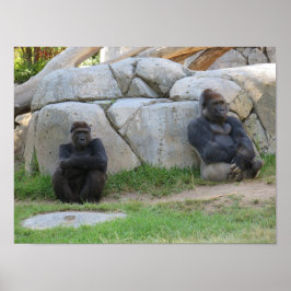 Laten we afwachten poster