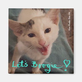 Laten we Boogie, katje magnet. Magneet