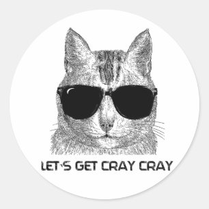 Laten we Cray Cray Cray halen Ronde Sticker