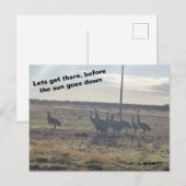 Laten we daar komen briefkaart (Voorkant / Achterkant)