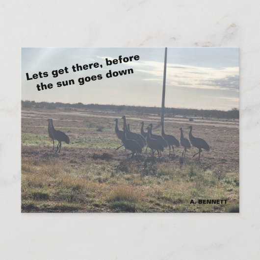 Laten we daar komen briefkaart (Voorkant)