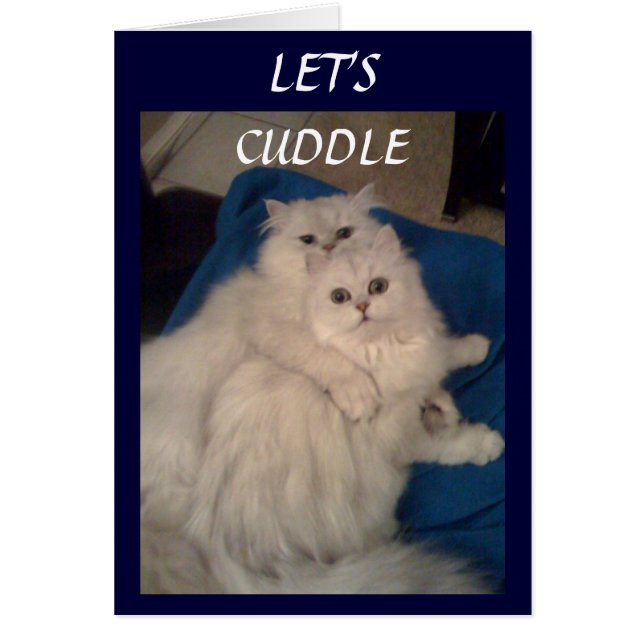 LATEN WE DE KUDDLE (Voorkant)