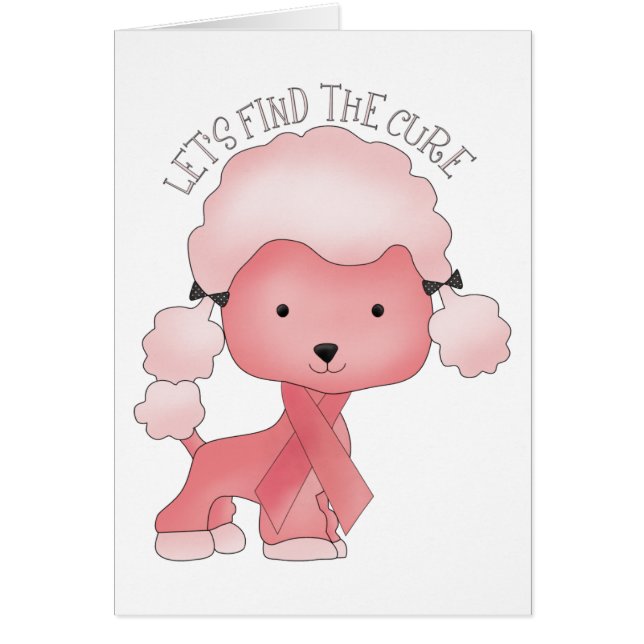 Laten we de kure poel vinden (Voorkant)