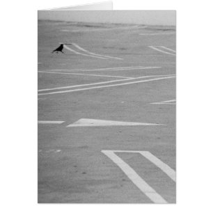 Laten we die kant op gaan!