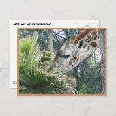 Laten we een keer lunchen! briefkaart (Voorkant / Achterkant)