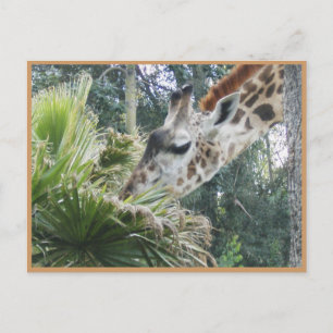 Laten we een keer lunchen! briefkaart