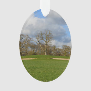 Laten we Golf spelen Ornament