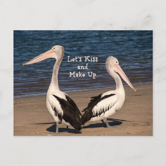 "Laten we het goedmaken" pelikanen op het strand Briefkaart (Voorkant)