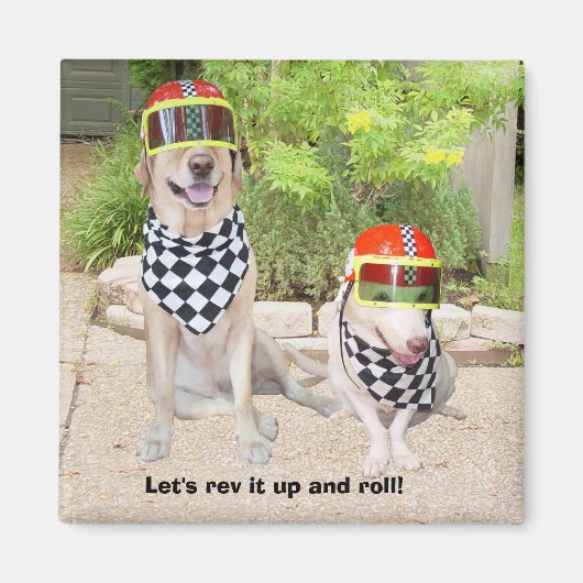 Laten we het opfrissen en rollen! magneet (Voorkant)