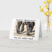 LATEN WE JE VERJAARDAG VIEREN, BROER KAART (Gele Bloem)