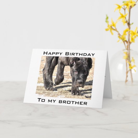 LATEN WE JE VERJAARDAG VIEREN, BROER KAART (Gele Bloem)