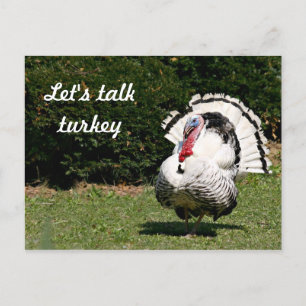 Laten we kalkoen spreken briefkaart