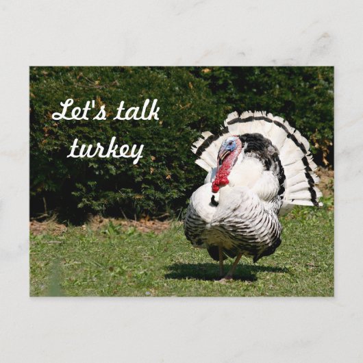 Laten we kalkoen spreken briefkaart (Voorkant)