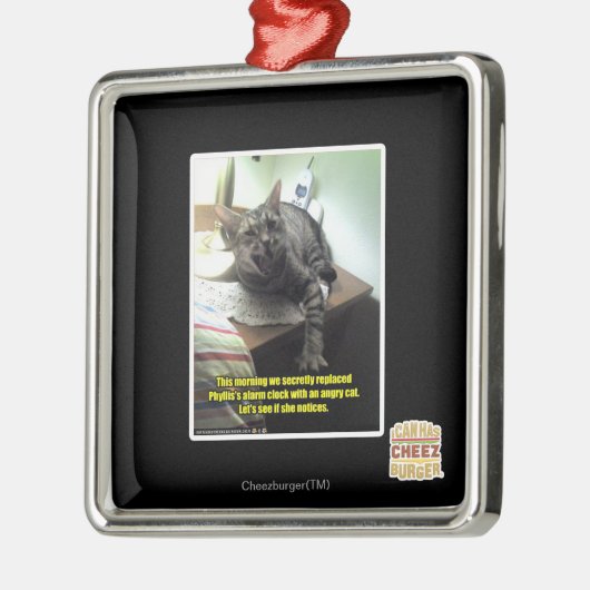 Laten we kijken of ze merkt. metalen ornament (Links)