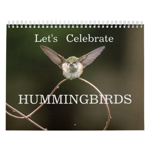 Laten we kolibries vieren kalender (Hoes)