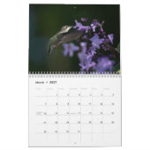 Laten we kolibries vieren kalender (Mar 2027)
