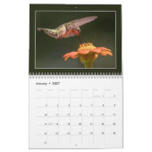 Laten we kolibries vieren kalender (Jan 2027)