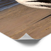 "Laten we kus en make up" Pelicans op het strand Poster (Hoek)