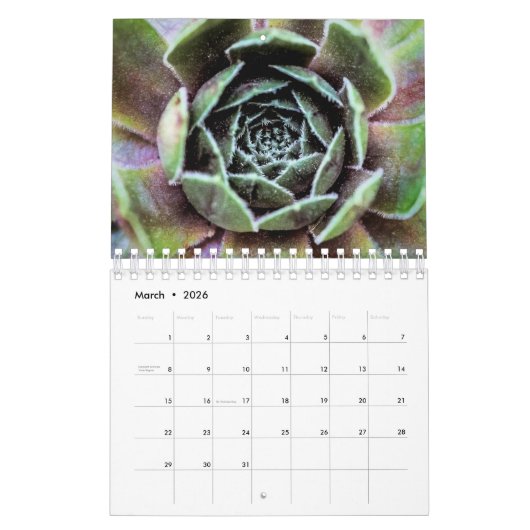 Laten we leven als Flowers 2020-kalender Kalender (Mar 2026)