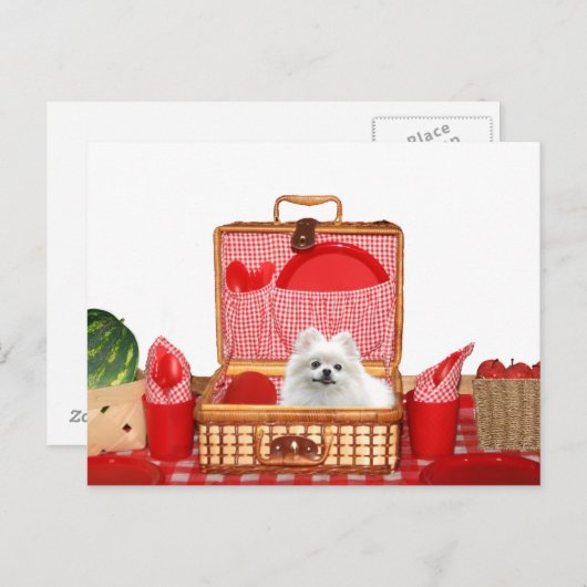 Laten we lunchen briefkaart (Voorkant / Achterkant)