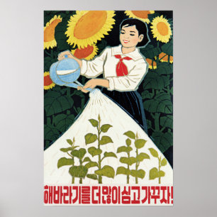 Laten we meer zonnebloemen verbouwen! Noord-Koreaa Poster
