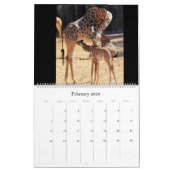 Laten we naar de dierentuin gaan! Fun Animal Calen Kalender (Feb 2026)