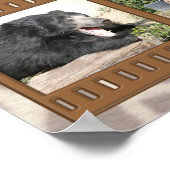 Laten we naar de Zoo gaan. Poster (Hoek)