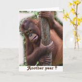 Laten we nog een verjaardag vieren kaart (Gele Bloem)