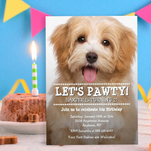 Laten we Pawty 2-Foto Pet Birthday bekijken Kaart