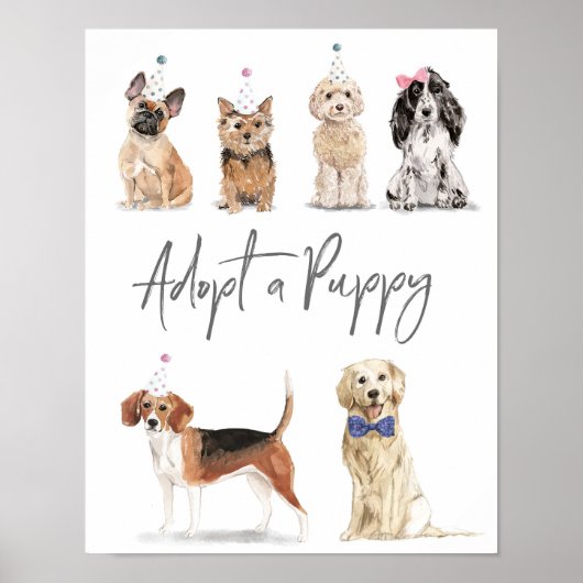 Laten we Pawty een puppy-teken adopteren Poster (Voorkant)