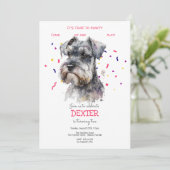 Laten we pawty, hond's verjaardagsfeestje kaart (Staand voorkant)