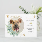 Laten we pawty, hond's verjaardagsfeestje kaart (Staand voorkant)