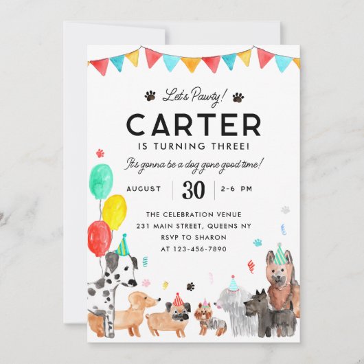 Laten we Pawty Party Dier Kinder Puppy Dog Verjaar Kaart (Voorkant)