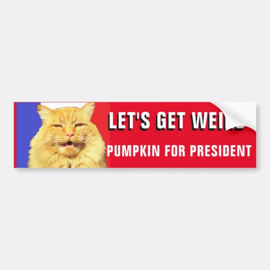 Laten we rare pompoen krijgen voor President 2020 Bumpersticker (Voorkant)